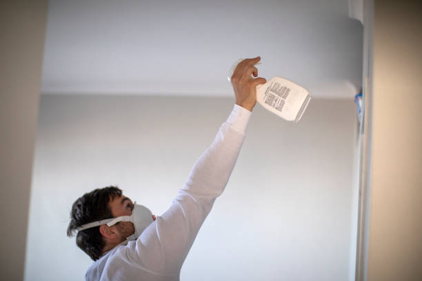 Best Attic Mold Remediation in Bronson, FL